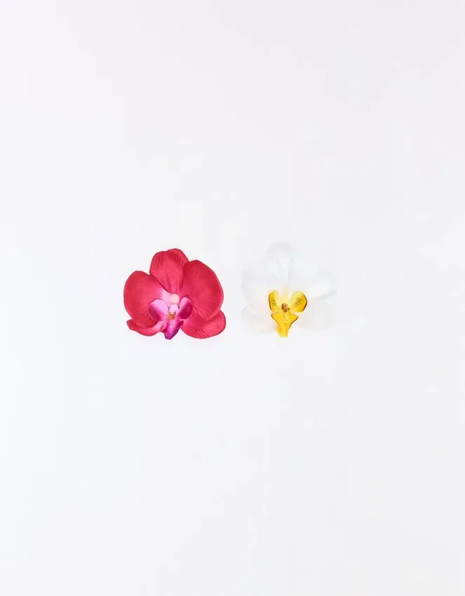 Set mit Blumen-Haarspangen Set mit Blumen-Haarspangen